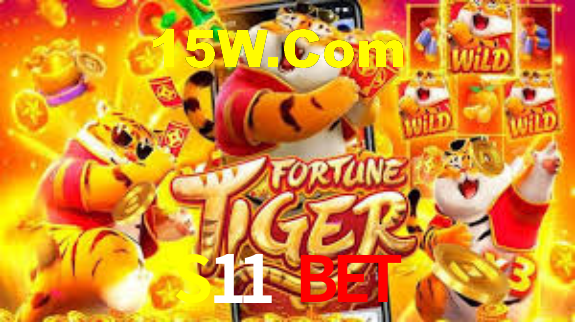 S11 App